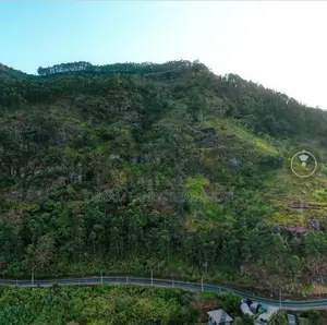 Haputale Commercial Land for Sale ( RLS - 847 )