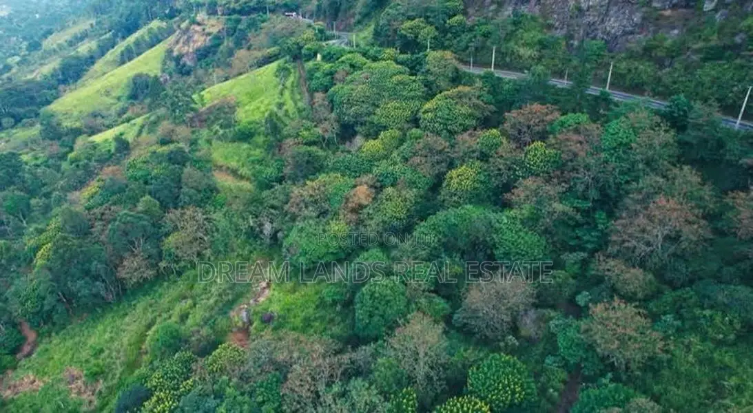 Haputale Commercial Land for Sale ( RLS - 847 )