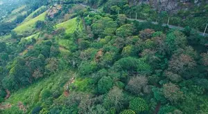 Haputale Commercial Land for Sale ( RLS - 847 )