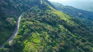 Haputale Commercial Land for Sale ( RLS - 847 )