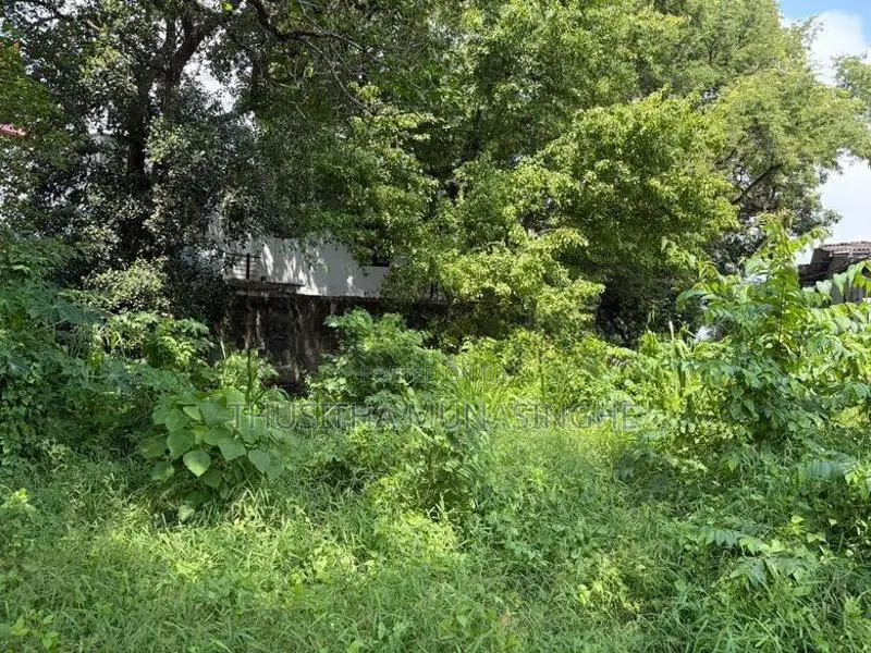 19 Perches Land For Sale In Battaramulla