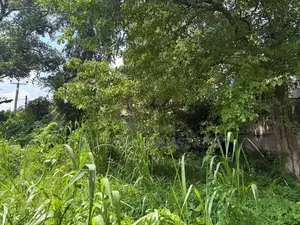 19 Perches Land For Sale In Battaramulla