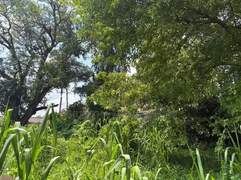 19 Perches Land For Sale In Battaramulla