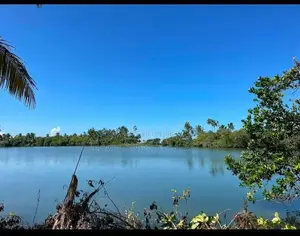 Kosgoda Water Frount Land For Sale ( RLS - 848 )