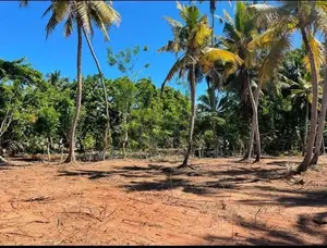 Kosgoda Water Frount Land For Sale ( RLS - 848 )
