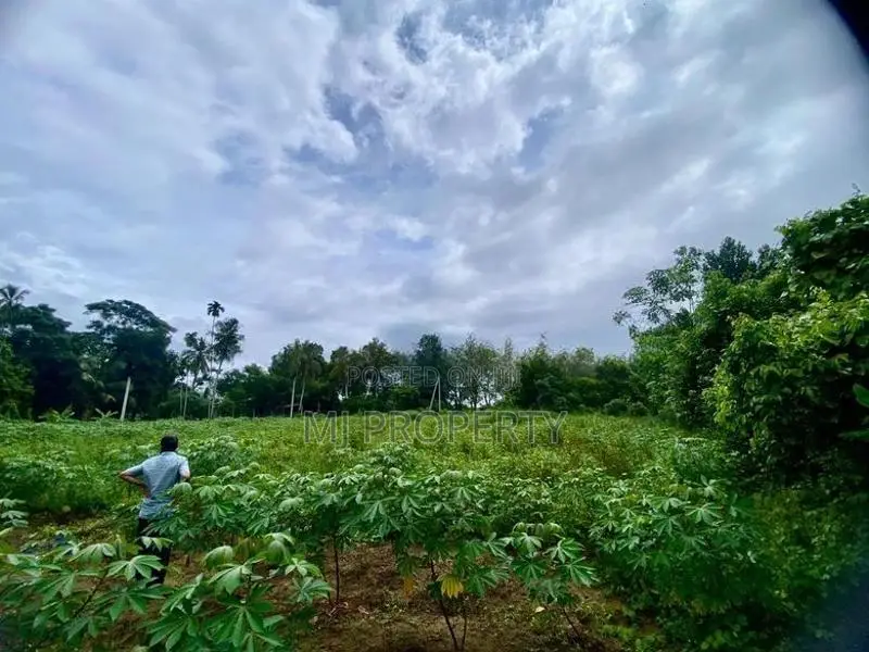 ( TS-1170) Valuable Residential Bare Land Sale in Padukka