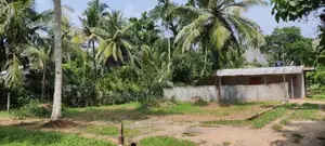 Land in Palagama Polgasowita Kesbewa for sale