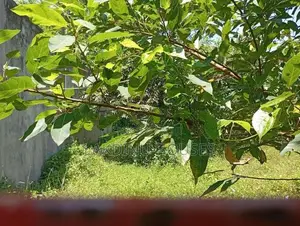 Land for sale in rathmalana