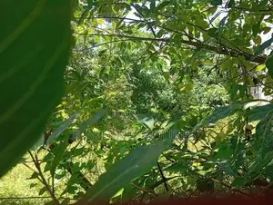 Land for sale in rathmalana
