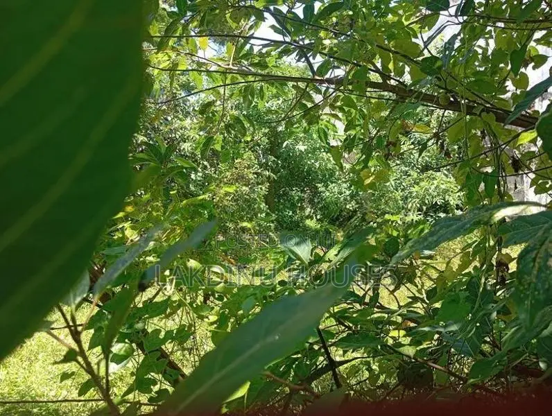 Land for sale in rathmalana