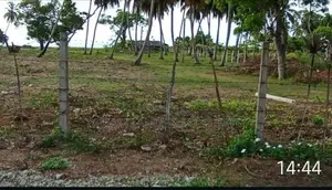 Pasikuda