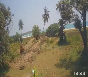 Pasikuda