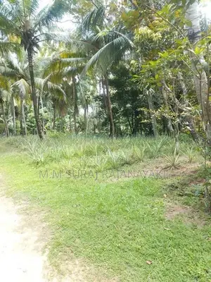 පර්චස් 120ක් මිනුවන්ගොඩින්