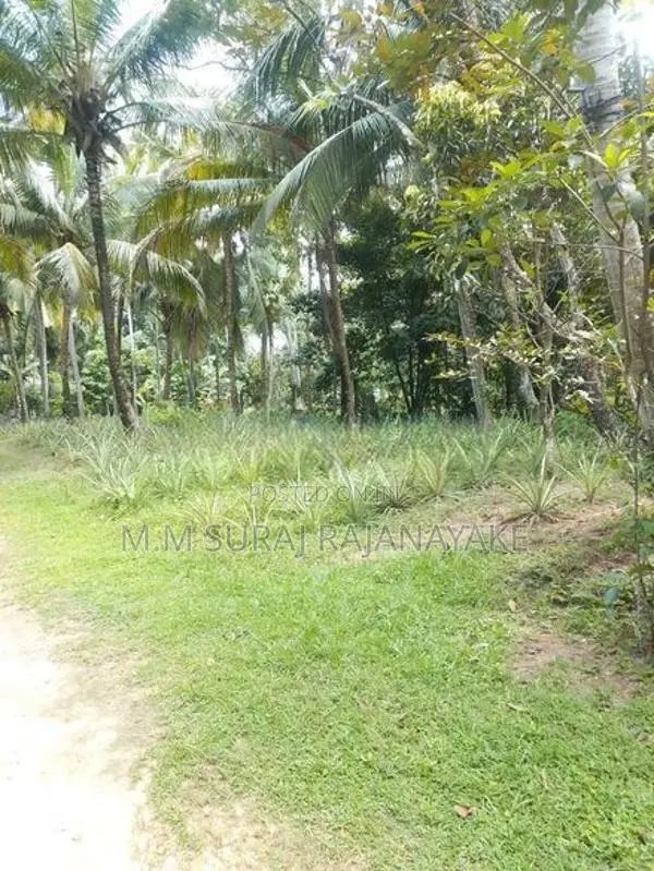 පර්චස් 120ක් මිනුවන්ගොඩින්