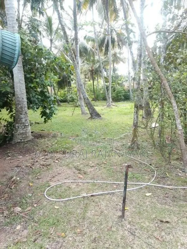 පර්චස් 310ක් මීගමුව අවටින්