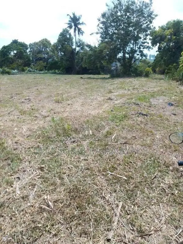 පර්චස් 310ක් මීගමුව අවටින්