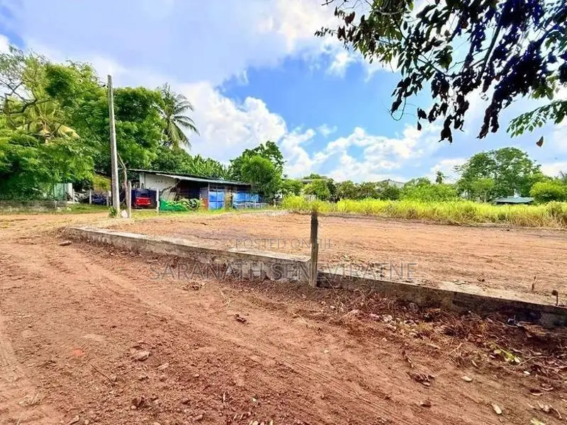 Land in Boralesgamuwa Newton Seneviratne Mw