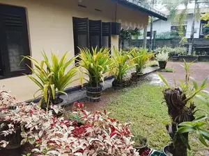 House For Sale in Minuwangoda Diwulapitiya