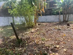 Land for Sale in Quiet, Residential Area Kalubowila