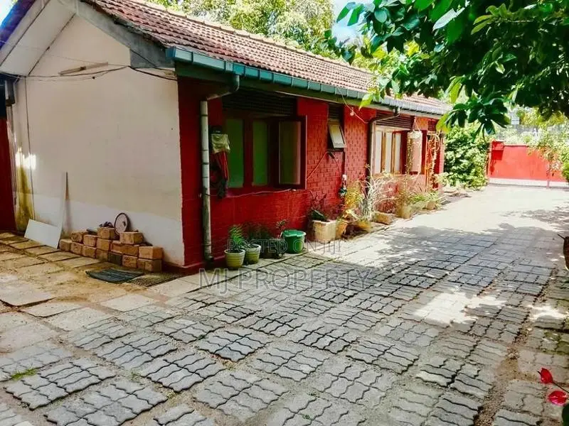 ( SR-1274) Valuable Single Storey House Rent In Colombo 05