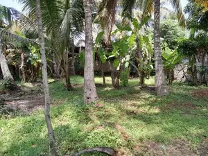11 perches Land for sale in 2nd Kurana, Negombo.Negombo.Gampaha.