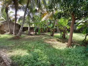 11 perches Land for sale in 2nd Kurana, Negombo.Negombo.Gampaha.