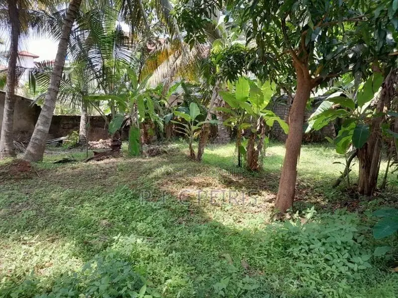 11 perches Land for sale in 2nd Kurana, Negombo.Negombo.Gampaha.