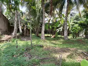11 perches Land for sale in 2nd Kurana, Negombo.Negombo.Gampaha.