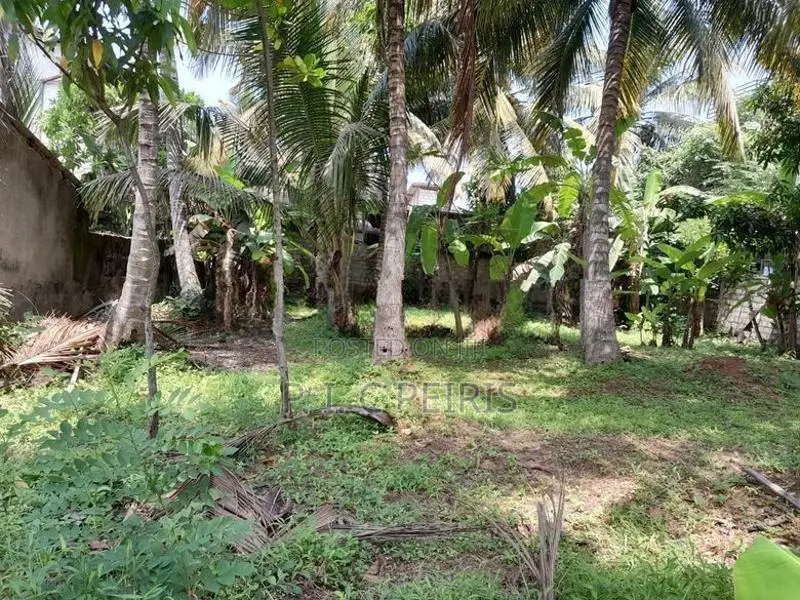 11 perches Land for sale in 2nd Kurana, Negombo.Negombo.Gampaha.