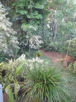 House for Sale in Dambulla