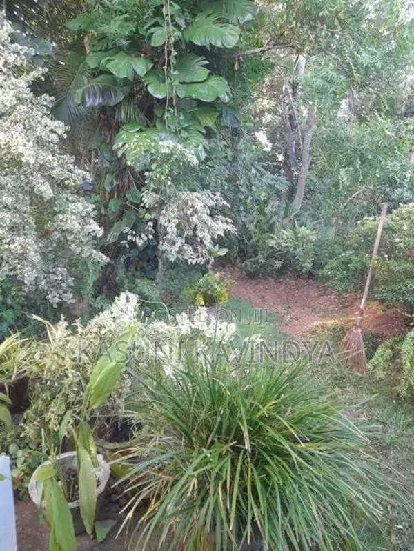 House for Sale in Dambulla