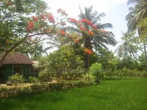 Land with House for Sale Higurakgoda