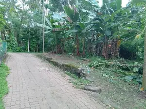 Land For Sale Ragama Road