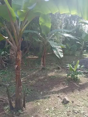 Land For Sale Ragama Road
