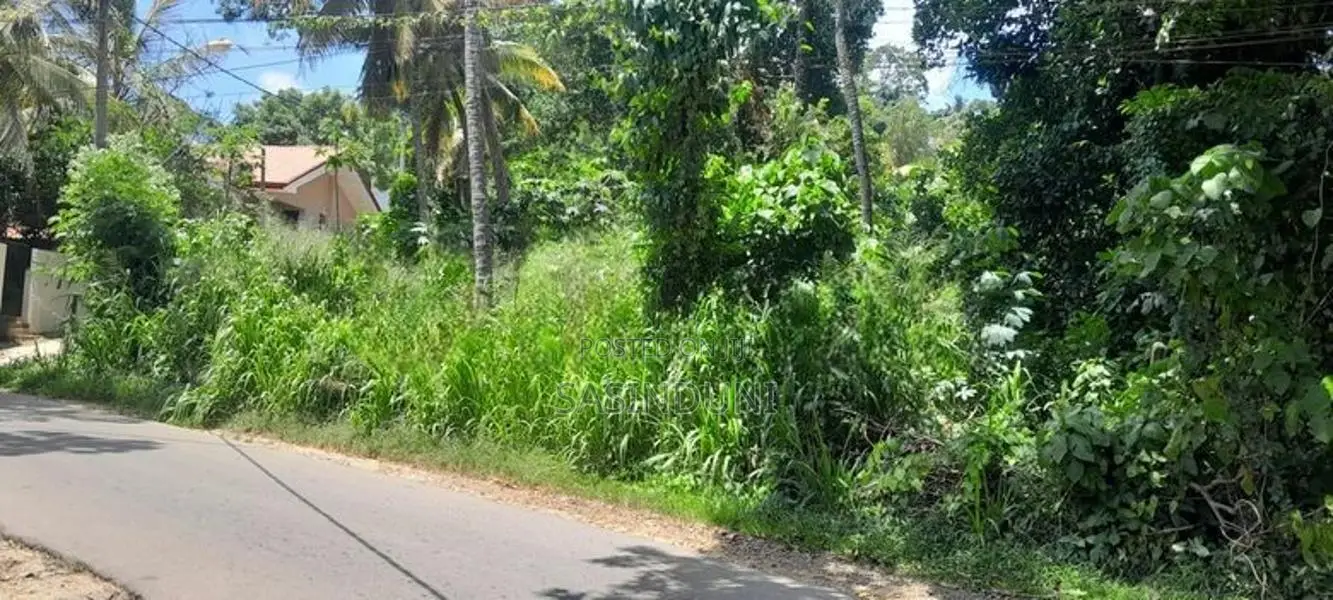 Matara කැකනදුරෙන් වටිනා ඉඩමක් විකිණීමට