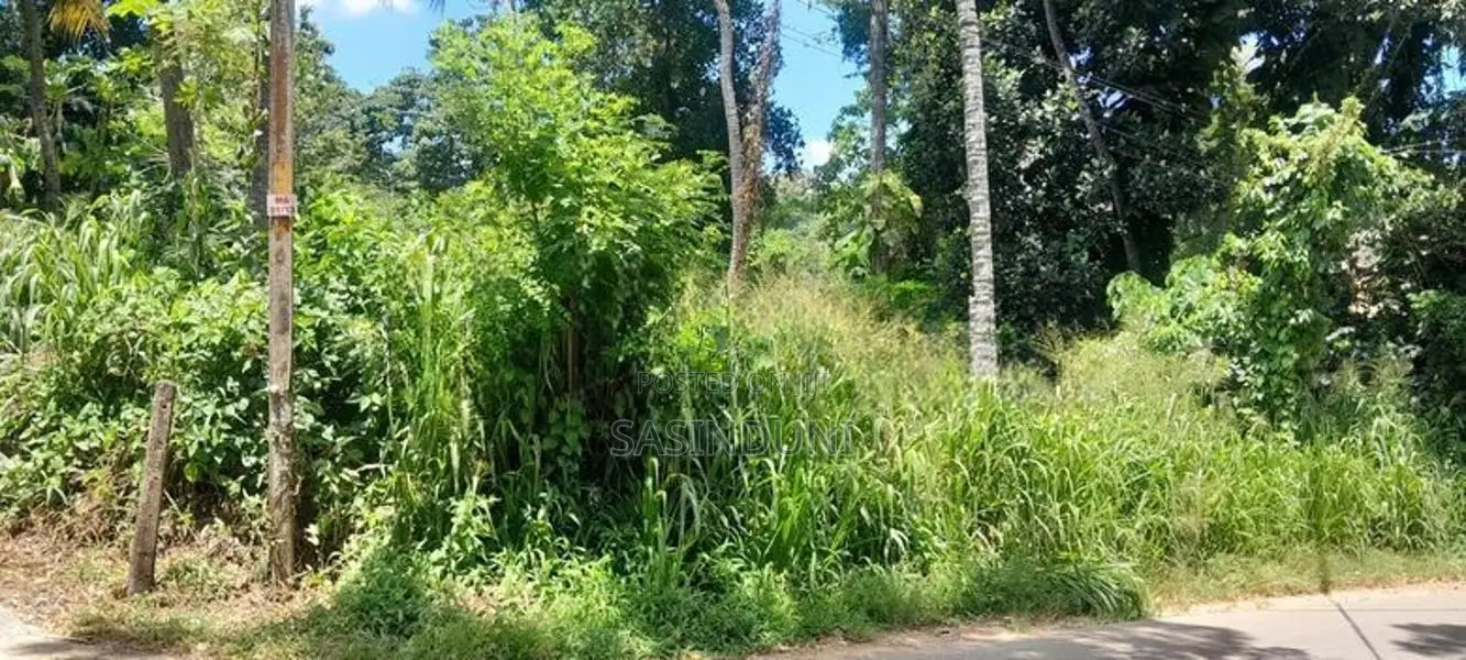 Matara කැකනදුරෙන් වටිනා ඉඩමක් විකිණීමට