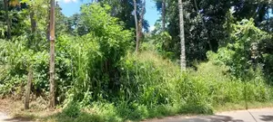 Matara කැකනදුරෙන් වටිනා ඉඩමක් විකිණීමට