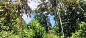 Matara කැකනදුරෙන් වටිනා ඉඩමක් විකිණීමට