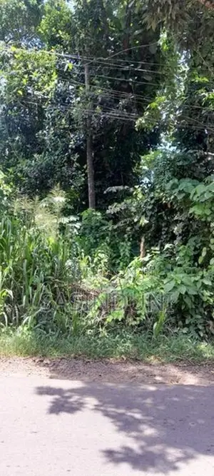 Matara කැකනදුරෙන් වටිනා ඉඩමක් විකිණීමට