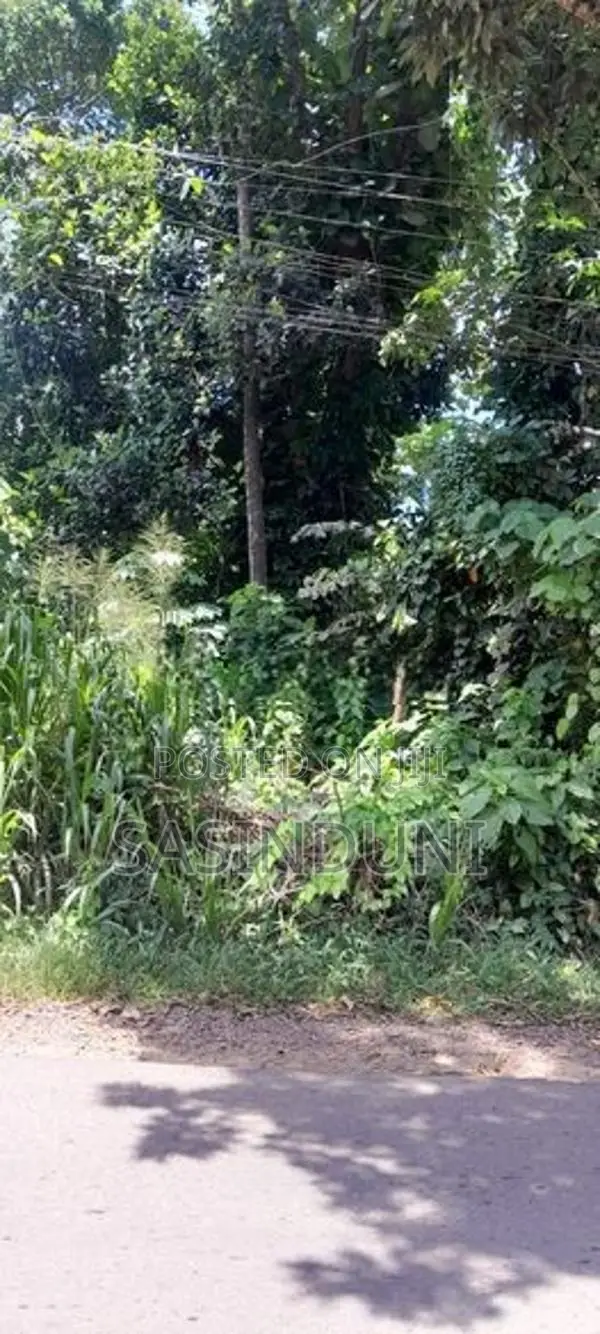 Matara කැකනදුරෙන් වටිනා ඉඩමක් විකිණීමට