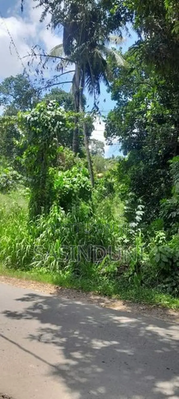 Matara කැකනදුරෙන් වටිනා ඉඩමක් විකිණීමට