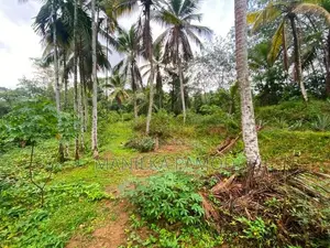 Land for Sale - Kapugoda