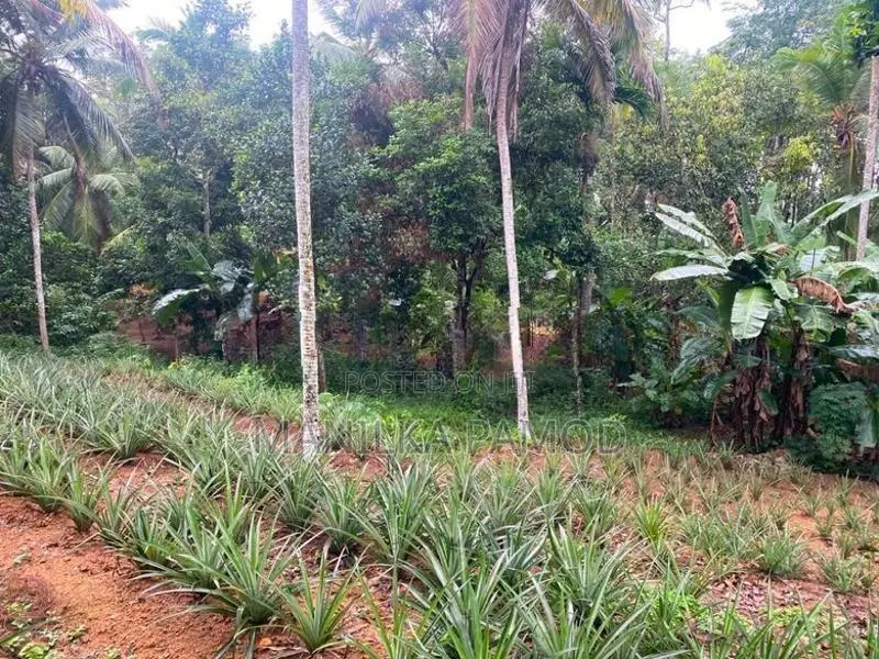 Land for Sale - Kapugoda
