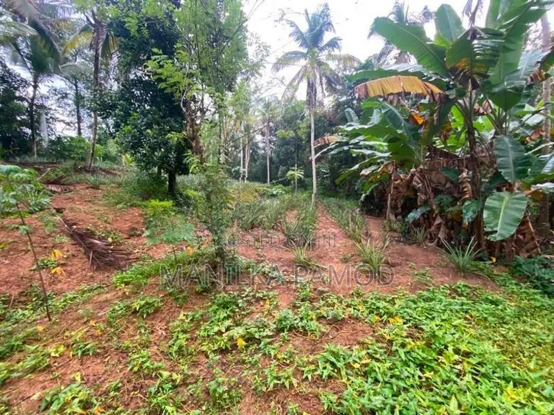 Land for Sale - Kapugoda