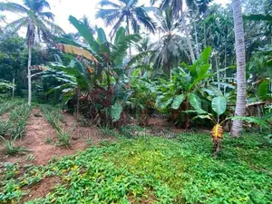 Land for Sale - Kapugoda