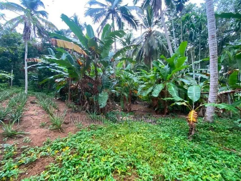 Land for Sale - Kapugoda