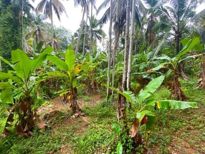 Land for Sale - Kapugoda