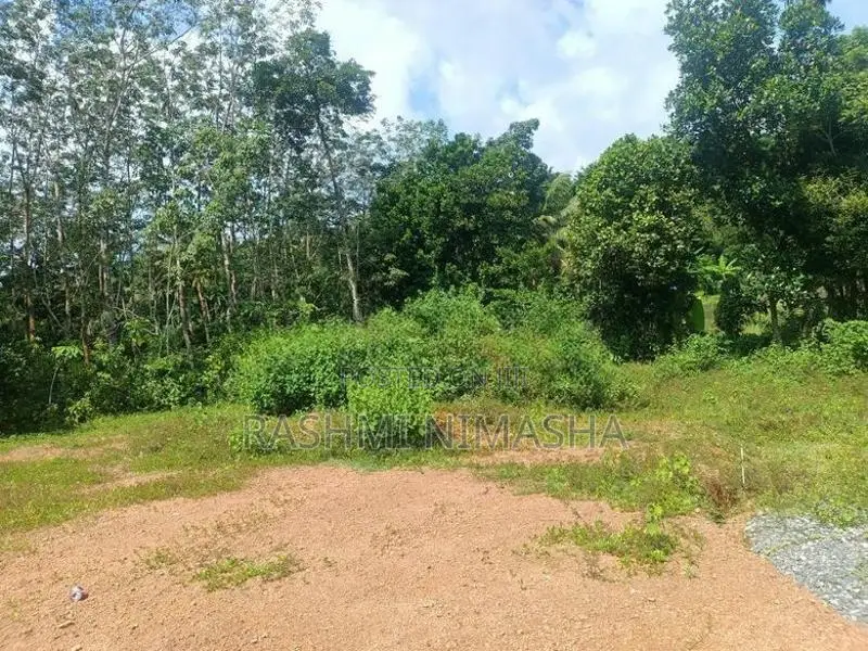 Gonapola Kumbuka Land for Sale