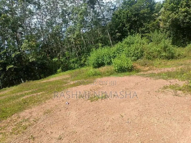 Gonapola Kumbuka Land for Sale