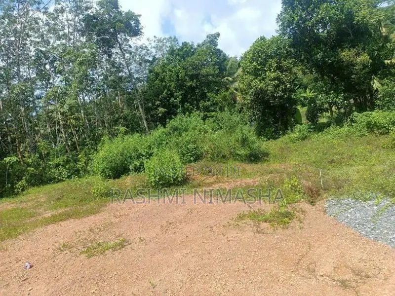 Gonapola Kumbuka Land for Sale